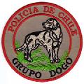 CHILE-POLICE K-9 DOGO UNIT